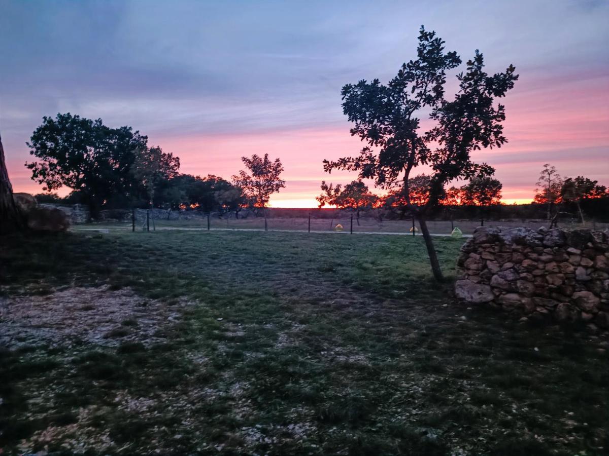 Villa Tenuta Tedone Consolini Ruvo di Puglia Exterior foto