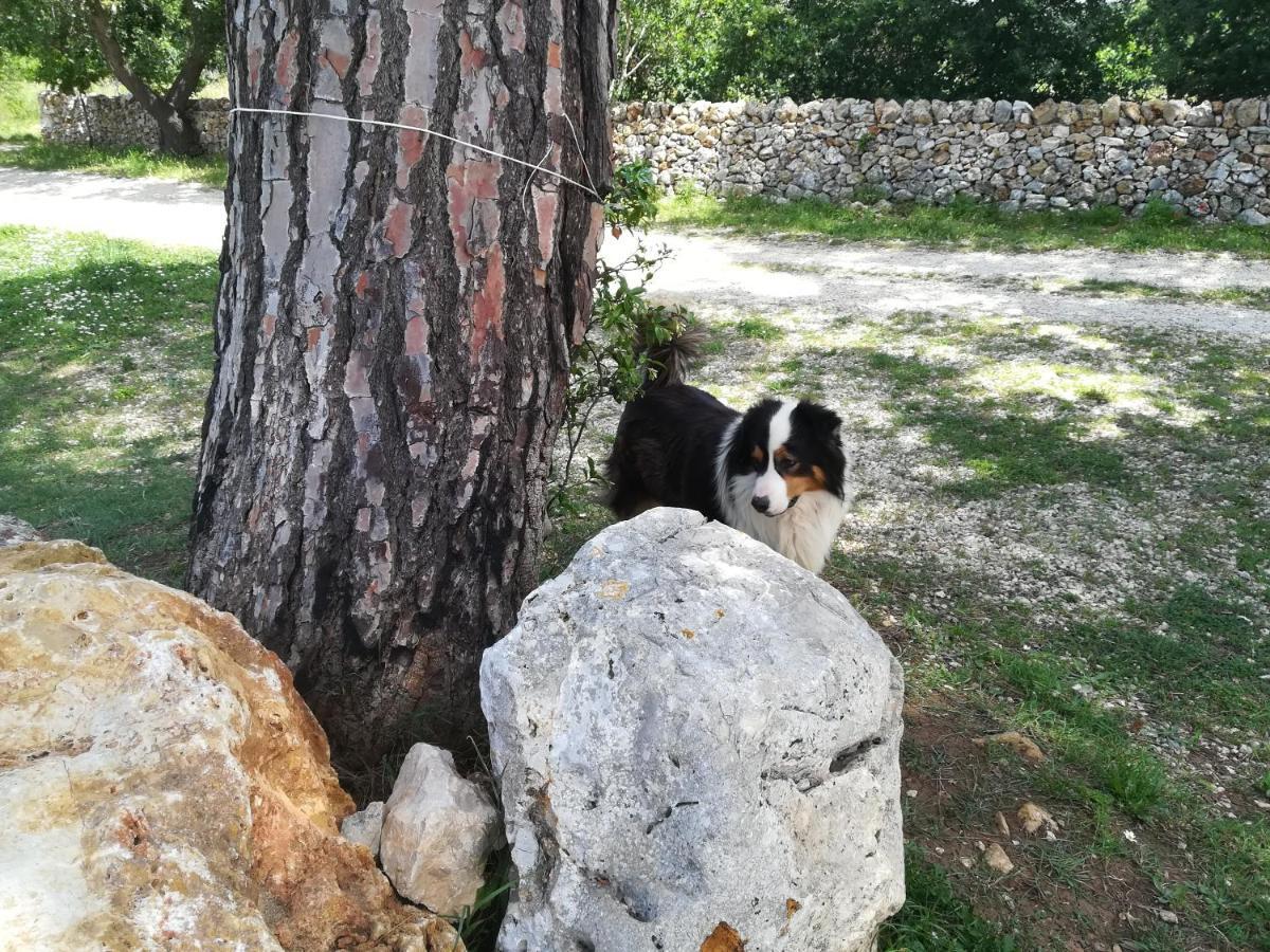 Villa Tenuta Tedone Consolini Ruvo di Puglia Exterior foto